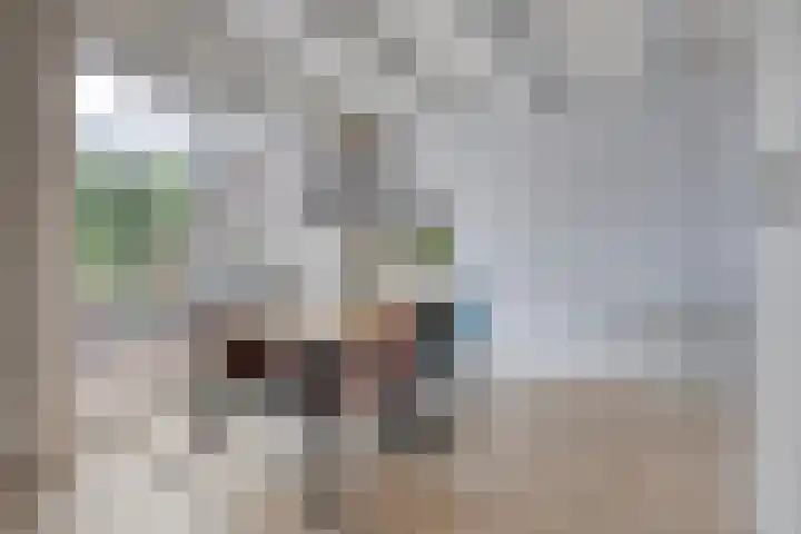 Korhoenhof 14 Nuenen thumbnail 15