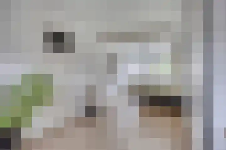 Korhoenhof 14 Nuenen thumbnail 30