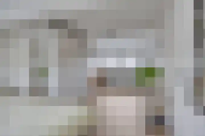 Korhoenhof 14 Nuenen thumbnail 31