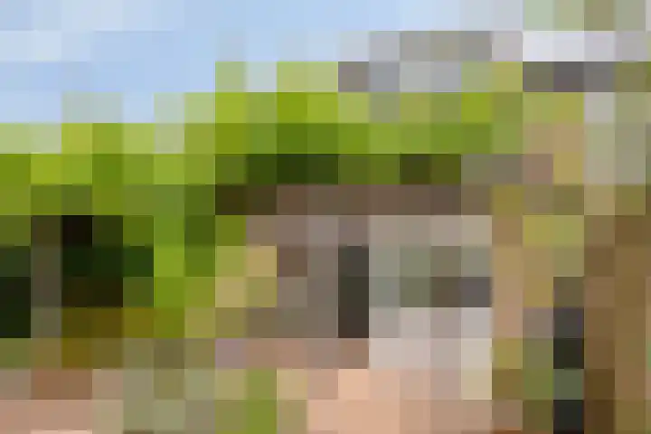 Korhoenhof 14 Nuenen thumbnail 39