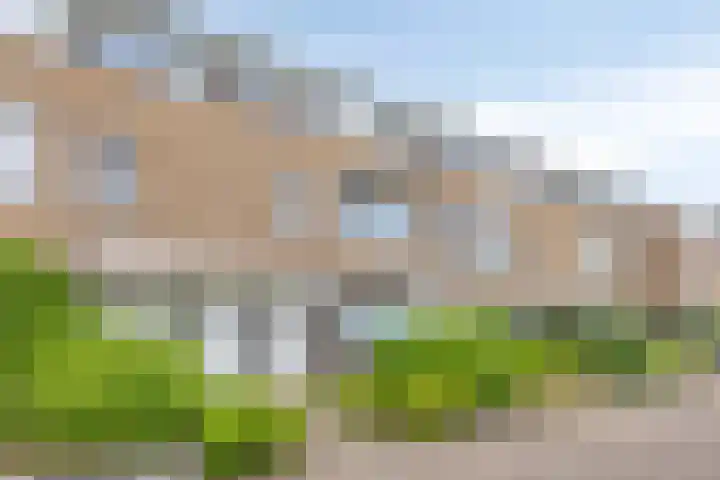 Korhoenhof 14 Nuenen thumbnail 6