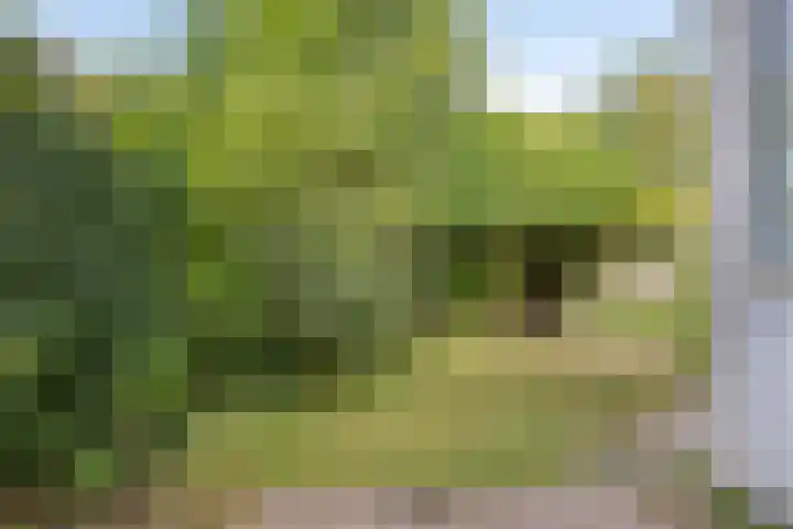 Korhoenhof 4 Nuenen thumbnail 14