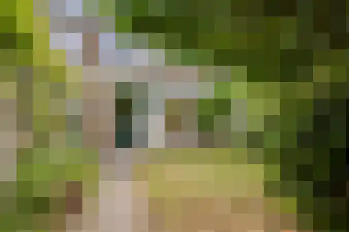 Korhoenhof 4 Nuenen thumbnail 15