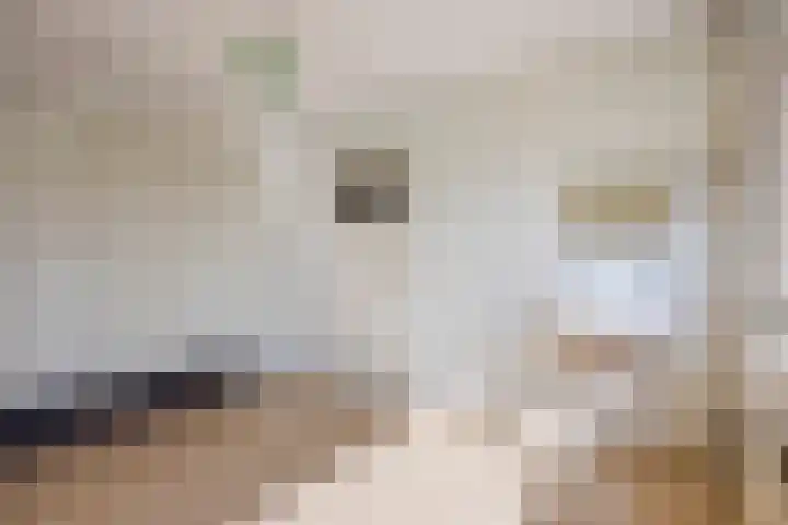 Korhoenhof 4 Nuenen thumbnail 18