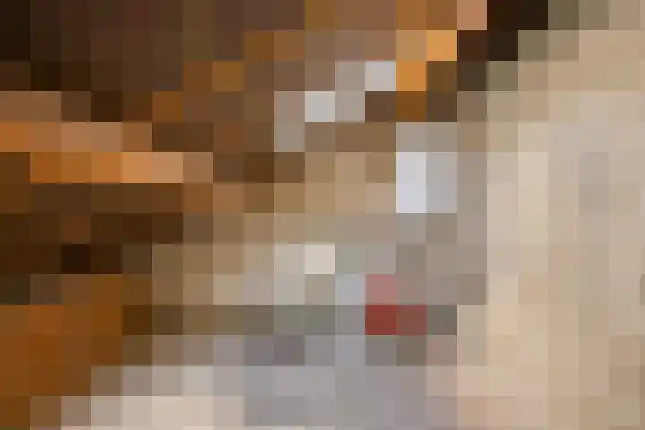 Korhoenhof 4 Nuenen thumbnail 32