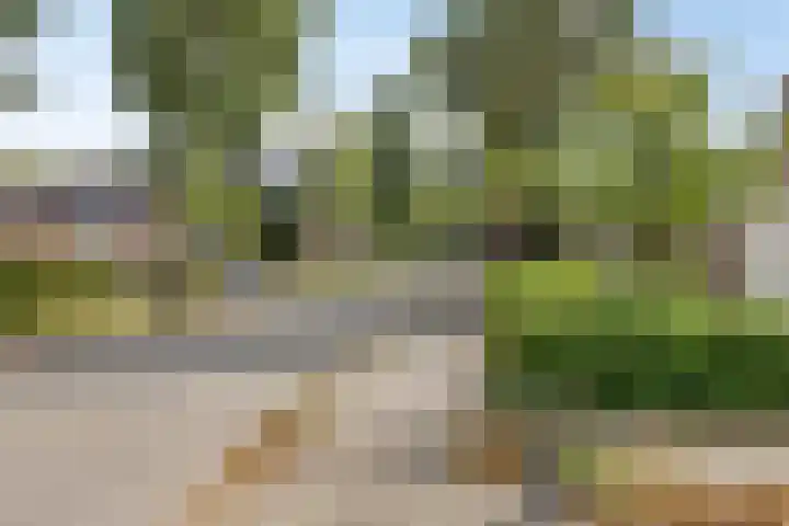 Korhoenhof 4 Nuenen thumbnail 34