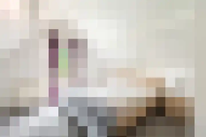 Korhoenlaan 1 1 Harderwijk thumbnail 22