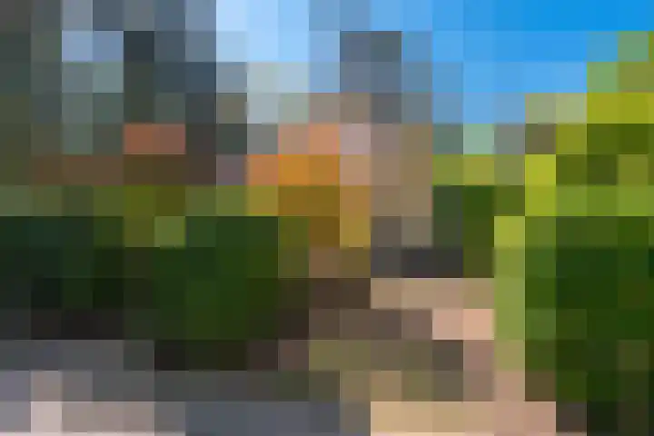 Korhoenlaan 1 1 Harderwijk thumbnail 27