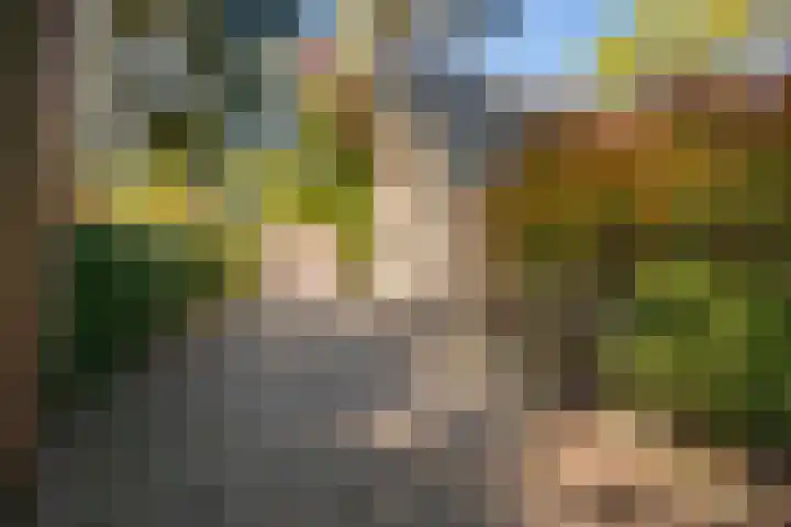 Korhoenlaan 1 1 Harderwijk thumbnail 28