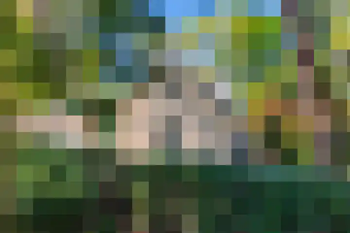 Korhoenlaan 1 1 Harderwijk thumbnail 30
