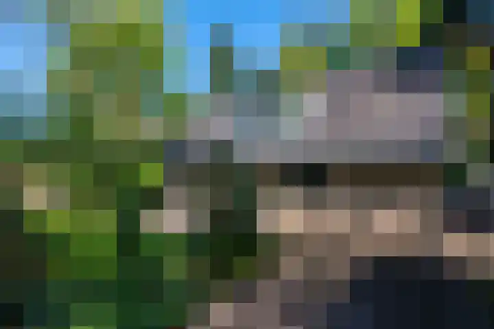 Korhoenlaan 1 1 Harderwijk thumbnail 31