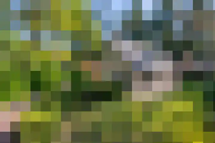 Korhoenlaan 1 1 Harderwijk thumbnail 32