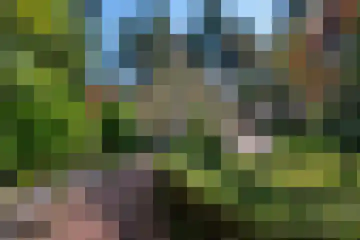 Korhoenlaan 1 1 Harderwijk thumbnail 33