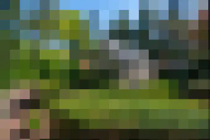 Korhoenlaan 1 1 Harderwijk thumbnail 34