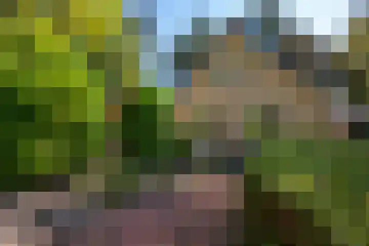 Korhoenlaan 1 1 Harderwijk thumbnail 35