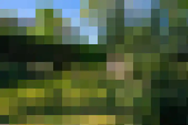 Korhoenlaan 1 1 Harderwijk thumbnail 36