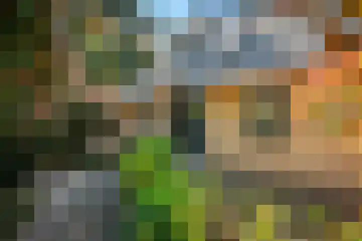 Korhoenlaan 1 1 Harderwijk thumbnail 4