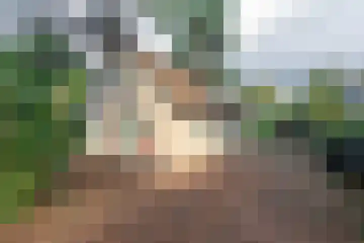 Korhoenlaan 1 121 Harderwijk thumbnail 5
