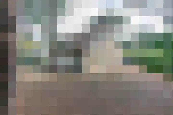 Korhoenlaan 1 121 Harderwijk thumbnail 6