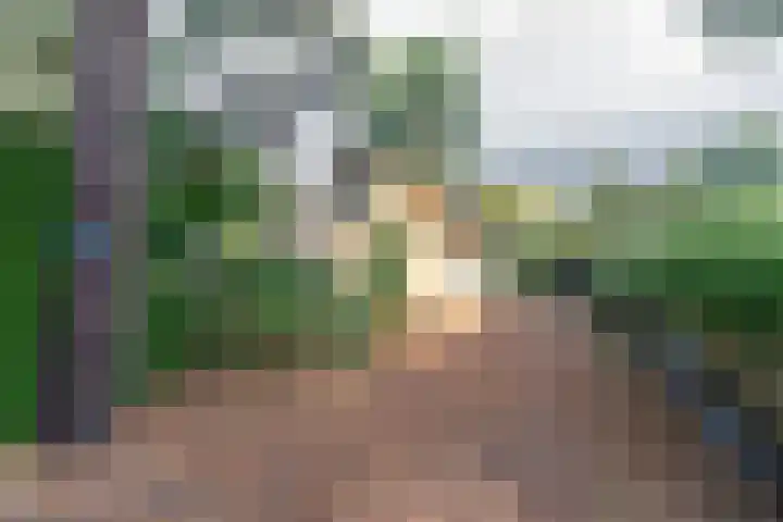 Korhoenlaan 1 121 Harderwijk thumbnail 8