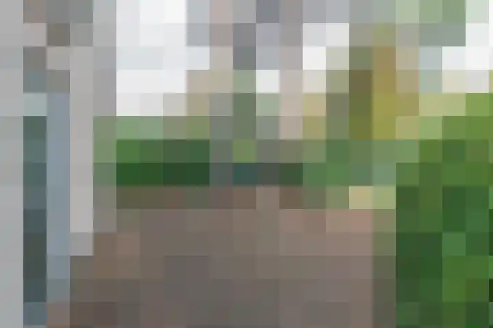 Korhoenlaan 1 121 Harderwijk thumbnail 9