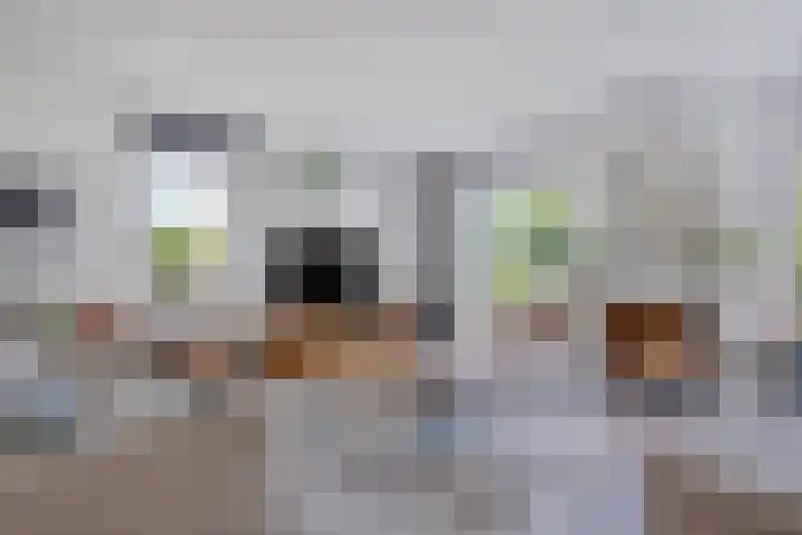 Korhoenlaan 1 178 Harderwijk thumbnail 11