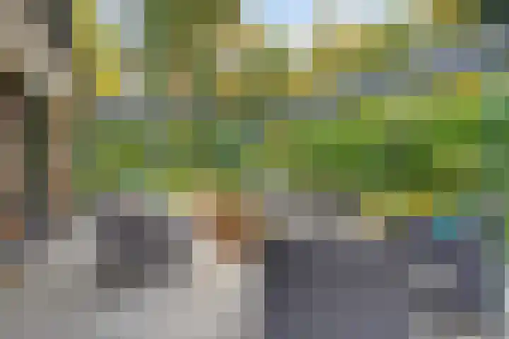 Korhoenlaan 1 178 Harderwijk thumbnail 39