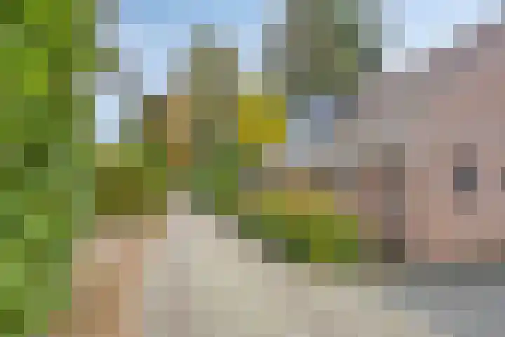Korhoenlaan 1 178 Harderwijk thumbnail 4