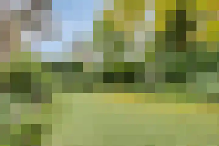 Korhoenlaan 1 178 Harderwijk thumbnail 42