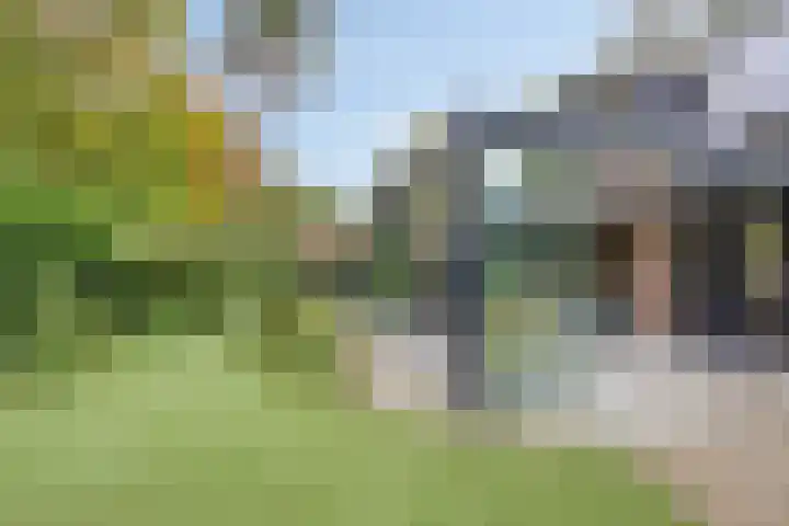 Korhoenlaan 1 178 Harderwijk thumbnail 46
