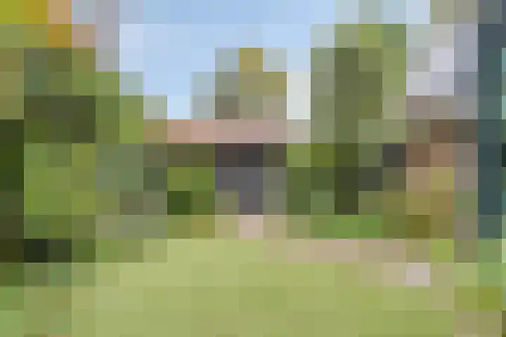 Korhoenlaan 1 178 Harderwijk thumbnail 47