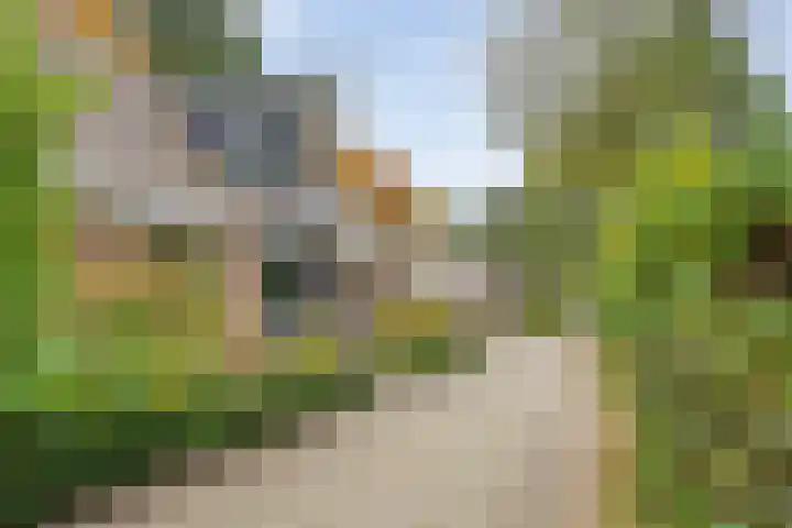 Korhoenlaan 1 178 Harderwijk thumbnail 7
