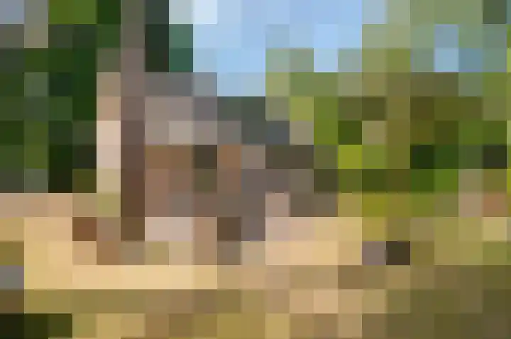 Korhoenlaan 1 20 Harderwijk thumbnail 28