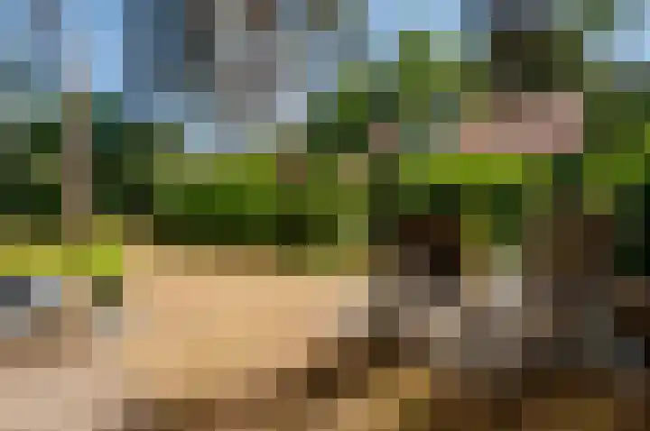Korhoenlaan 1 20 Harderwijk thumbnail 30