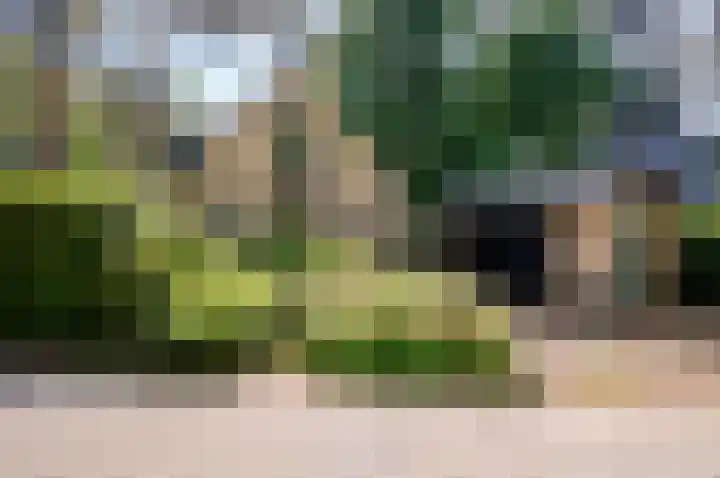 Korhoenlaan 1 20 Harderwijk thumbnail 32