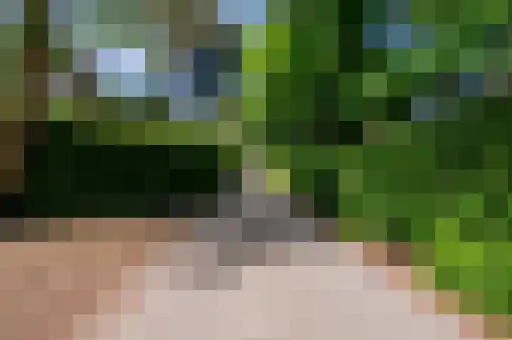 Korhoenlaan 1 20 Harderwijk thumbnail 34