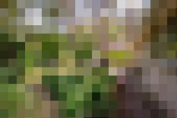 Korhoenlaan 1 20 Harderwijk thumbnail 35