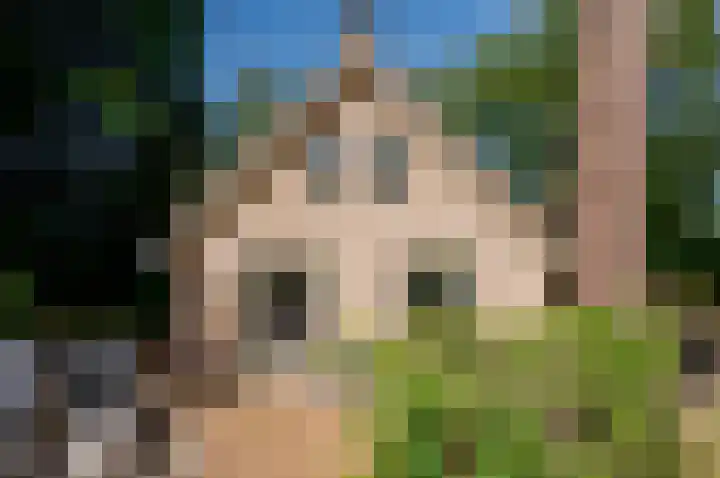 Korhoenlaan 1 20 Harderwijk thumbnail 38