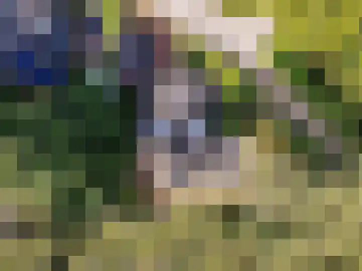 Korhoenlaan 1 20 Harderwijk thumbnail 41