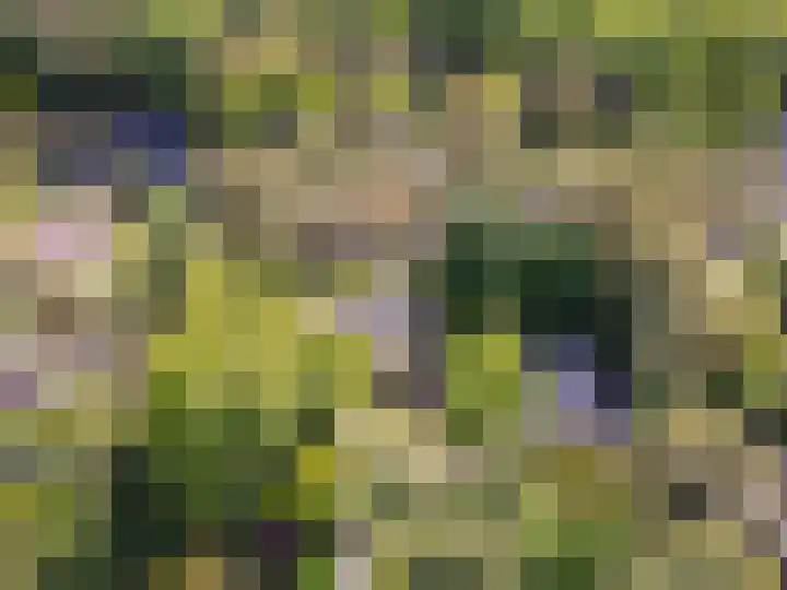 Korhoenlaan 1 20 Harderwijk thumbnail 42