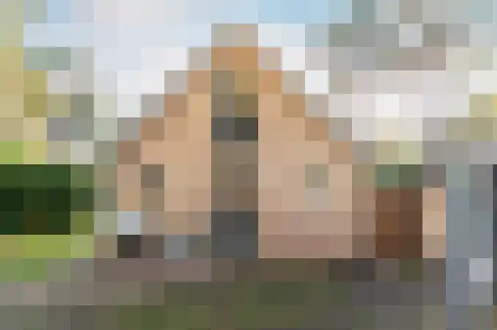 Korhoenlaan 1 22 Harderwijk thumbnail 34