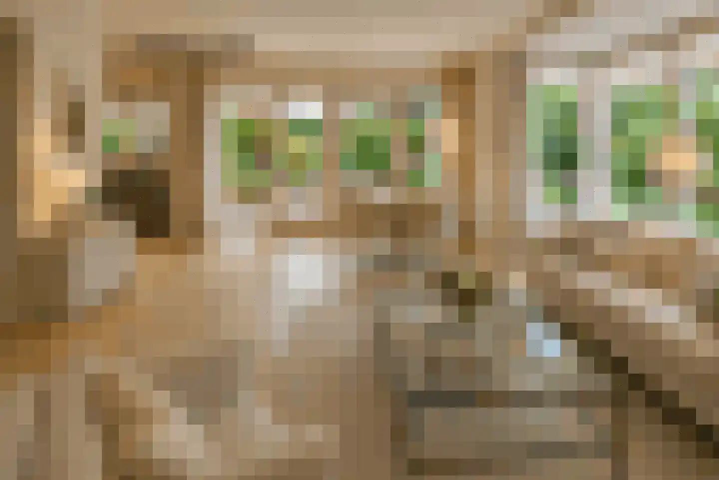 Korhoenlaan 1 29 Harderwijk thumbnail 8