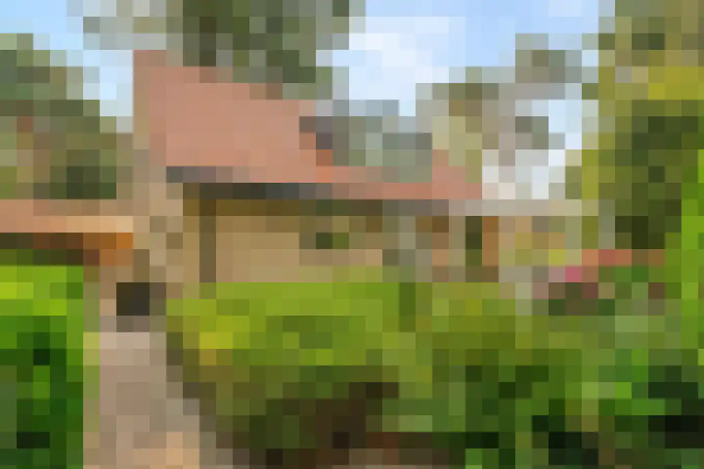 Korhoenlaan 1 63 Harderwijk thumbnail 42