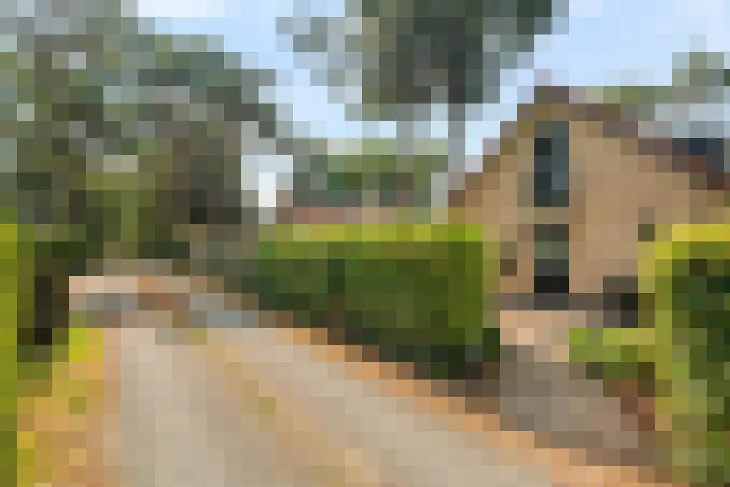 Korhoenlaan 1 63 Harderwijk thumbnail 46