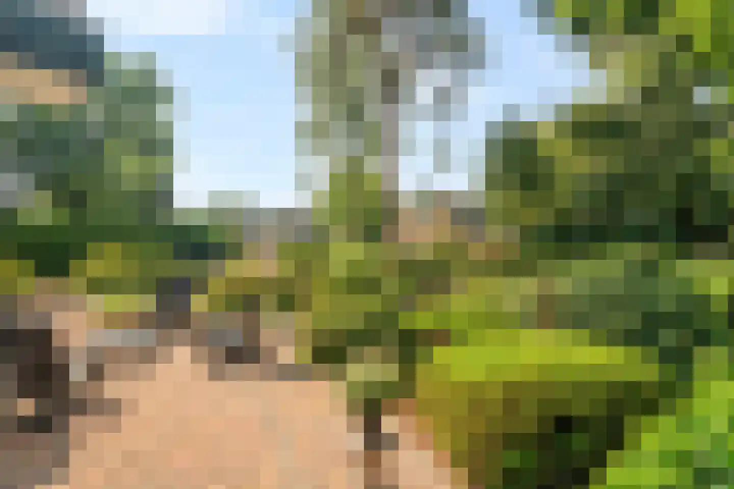 Korhoenlaan 1 63 Harderwijk thumbnail 6