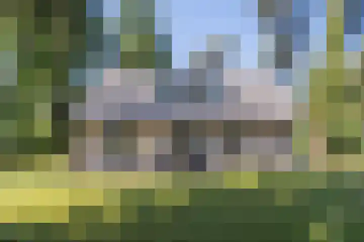 Korhoenlaan 1 72 Harderwijk thumbnail 34