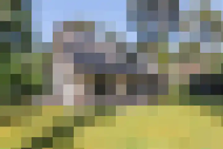 Korhoenlaan 1 72 Harderwijk thumbnail 36