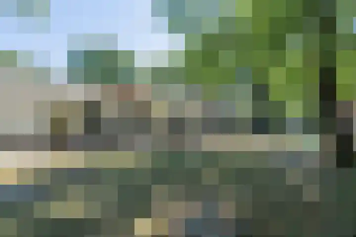 Korhoenlaan 1 72 Harderwijk thumbnail 47