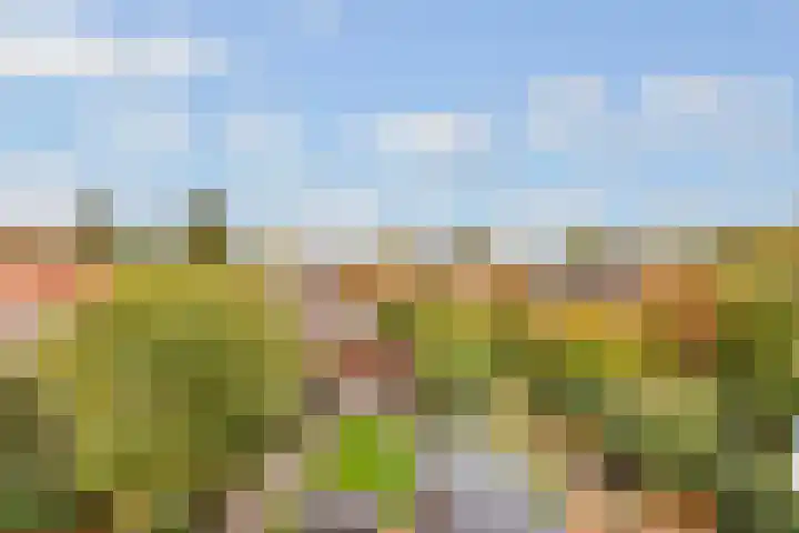 Korhoenlaan 1 Bilthoven thumbnail 12