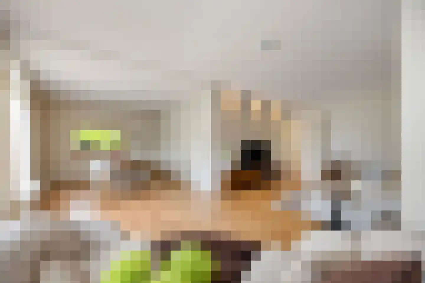 Korhoenlaan 1 Rhoon thumbnail 19